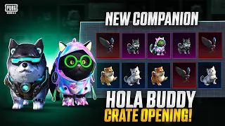 😱HOLLA BUDDY SPIN NEW COMPANION CRATE OPENING