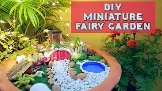 DIY Miniature Fairy Garden | Meet My Son