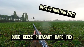 BEST OF SMALL GAME HUNTING 2022 - Ducks - Pheasants - Hares - Fox - Geese - compilation