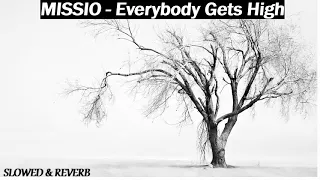 MISSIO - Everybody Gets High | Slowed + Reverb
