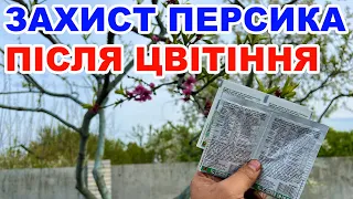 Перевірена обробка від курчавості персика !