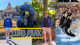 LORO PARK - OUR FULL HONEST REVIEW AND GUIDE