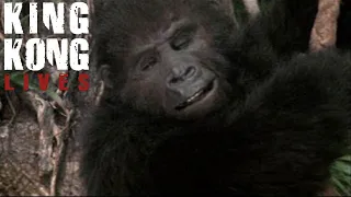 King Kong Lives [1986] - Baby Kong Screen Time