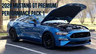 BEST CUSTOM ORDERED 2020 MUSTANG GT PREMIUM PERFORMANCE PACK 1: COLD START, REVIEW, MODS