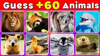 Guess +60 animal within 5 seconds in 4 difficulty levels 🦊🦄| ​⁠@QuizPalace2024