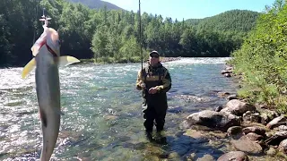 Рыбалка на хариуса в Иркутской области.