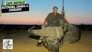 4 Hunts for Deadly Cape Buffalo