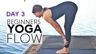 Beginners Yoga Flow (10 Min) Full Body Class Day 3 | Fightmaster Yoga Videos