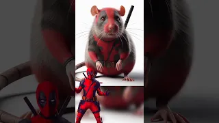 Superheroes but rat 💥 Marvel & DC-All Characters #marvel #avengers#shorts