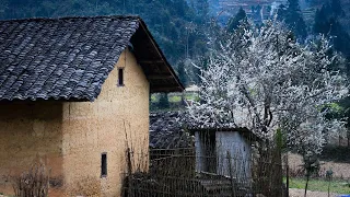 Ja si ma kryejn at punen Burri dhe Kolegu i tij se bashku