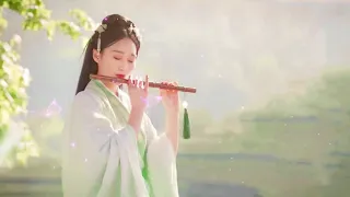 Chinese Erhu, Guzheng/Zither & Flute Music 清淨身心音樂 Chinese Relaxing Music Sleep