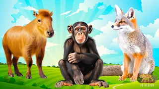 Amazing Sounds of Familiar Animals: Chimpanzee, Fox, Capybara, Greyhound | Animal Paradise