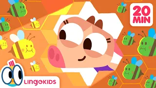 BABY BOT Knows BEES 🐝 🍯 + More Cartoons for Kids | Lingokids