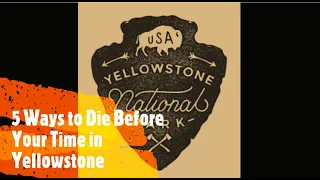 5 Ways To Die Before Your Time in Yellowstone National Park: TRUE Stories