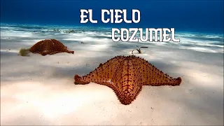 EL MEJOR TOUR DE LA RIVIERA MAYA | EL CIELO COZUMEL 2021