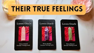 💞 Their True FEELINGS For YOU! 😍❤️‍🔥 Pick a Card 🔮✨ Timeless Love Tarot Reading