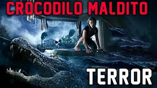 Crocodilo  Maldito A Fera Assassina – 1979 Terror Completo 2023 Melhores Filmes