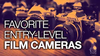 My Favorite Entry-Level Film Cameras