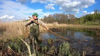 Красивый пруд из болота. Расчищаю вручную заброшенную речку