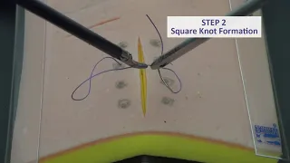 LapPass Task 4 Laparoscopic Intracorporeal Suturing and Knot Tying BCI Video