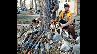 There's Swampers in those hills (Missouri Swamp Rabbit Hunt) Jan 8th, 2023