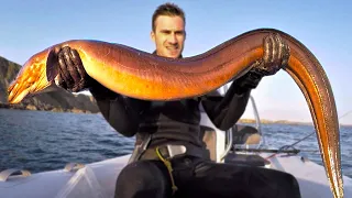 Giant EEL FISH Catch and Cook