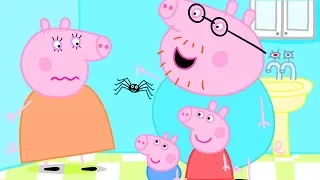 Heo Peppa | Ngài chân gầy | Tập đầy đủ | Heo Peppa Tiếng Việt | Phim Hoạt Hình