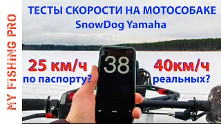 Тест Скорости Мотособаки BALTMOTORS SNOWDOG с двигателем YAMAHA