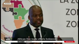 African Continental Free Trade Agreement | Wamkele Mene weighs in