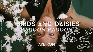Racoon Racoon - Birds and Daisies | Lyrics