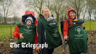 Over three million trees planted in memory of Queen Elizabeth