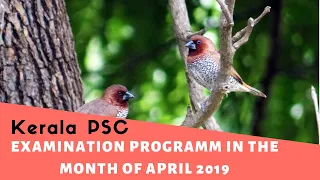 Kerala PSC Examination Programme in The Month Of April 2019 | Easy PSC | Kerala PSC |