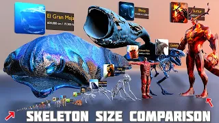 Animal Skeleton Comparison: All Sizes!