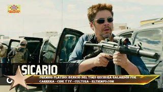 Premios Platino: Benicio del Toro recibirá galardón por  carrera - Cine y Tv - Cultura - ELTIEMPO.C