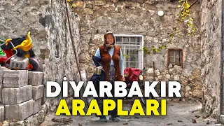 Challenging Village Life in Turkey | Diyarbakir