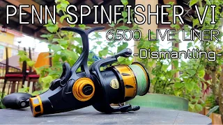 Penn Spinfisher VI 6500 Live Liner - Part 1/2 Dismantling - Reel service and maintenance -