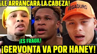 GERVONTA DAVIS RECHAZA A PITBULL CRUZ PERO ENVIARA CONTRATO A HANEY Y POR ESTA RAZON SI SUCEDERÁ