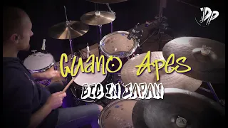 Guano Apes - Big in Japan - (Drum Cover)