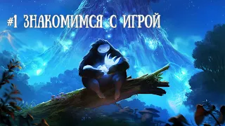 #1 Ori and the Blind Forest - Знакомимся с игрой