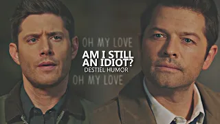 destiel humor || am i still an idiot?