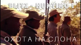 Охота на слона | Blitz-HUNTING