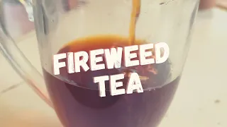 How To Make Fireweed Tea