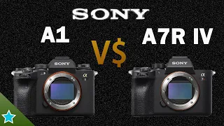 Sony a1 vs Sony a7R IV