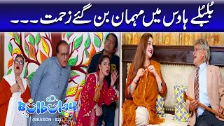 Bulbulay Season 2 Episode 115 - Ayesha Omar | Nabeel