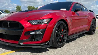 2021 SHELBY GT500 COBRA/COLD START/QUIK HIT $100,000 CAR FASTEST MUSTANG EVER BUILT?YES🐍