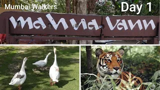 Mahua Vann Resort | Pench | Beyond Stay | Best Place to Stay In Pench