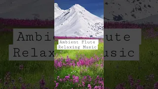 Beautiful Relaxing Music for Stress Relief • Meditation Music, Sleep Music, Ambient Study Music