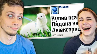 [Джекбокс] крінжові жарти у Жартурнір, Вижити в Інтернеті та Смертельні вечорниці - знову з сестрою