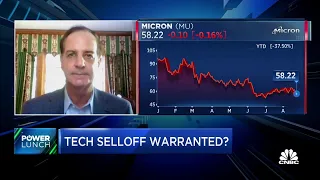 Tech is a deflationary business, says Tech Advisor's Steve Milunovich