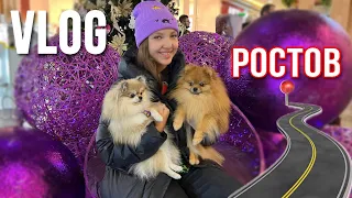 Поездка в Ростов-на-Дону🚗🏙️🛍️ с собаками 🐾 #ростов